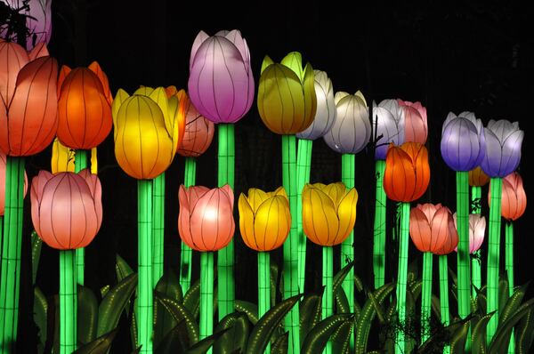 A Chinese Lantern Festival will light up Centennial Olympic Park with handcrafted giant flowers, a three-story pagoda and a 200-foot-long Chinese dragon. CONTRIBUTED