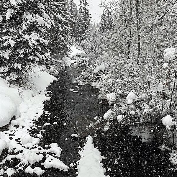 Charles R. Wing took this photo on New Year's Day 2020 in Telluride, CO. "The contrast between the very white snow and cold blackness of the river was a beautiful site on the first day of 2020," he wrote.