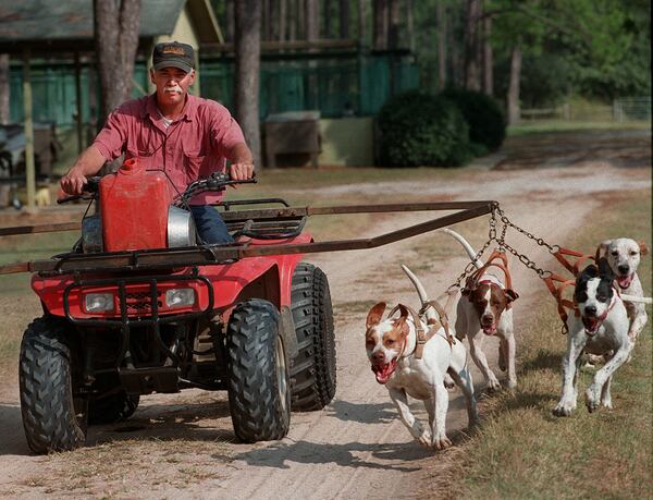 981102 PINEBLOOM PLANTATION, GA: Dog trainer Wyndell Hines (cq) uses a four-wheeler rigged with a metal frame to train dogs used in quail hunting. The dogs build strength and endurance during their training runs. (JEAN SHIFRIN/staff)