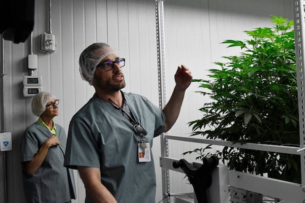 Garrison Carrafield (right) shares information about the cannabis plants with tour participants as Mary Adams (left) listens on Wednesday, May 29, 2024, at the Fine Fettle cannabis cultivation and extraction facility in Macon, Georgia. (Photo Courtesy of Katie Tucker)