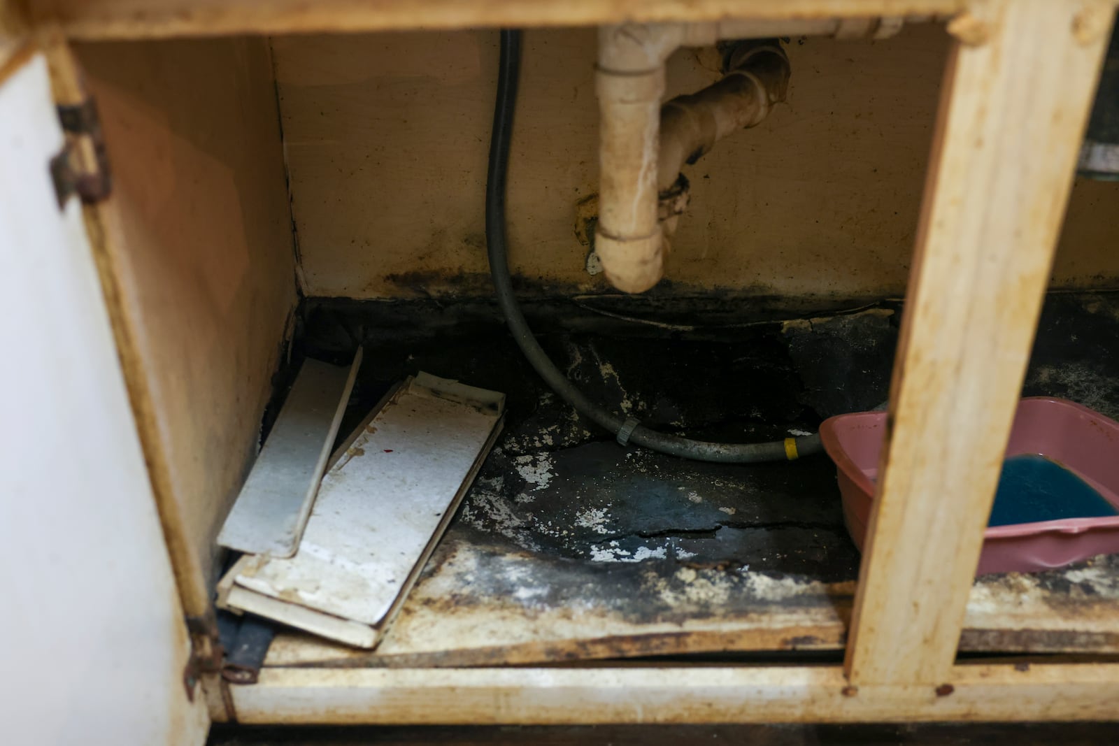 Mold still infests the floor under the kitchen sink of Paul McMillian’s apartment at Thornberry Apartments in this January photo. McMillan has withheld his rent on the unit until the mold is cleaned, and now faces eviction. (Jason Getz / Jason.Getz@ajc.com)
