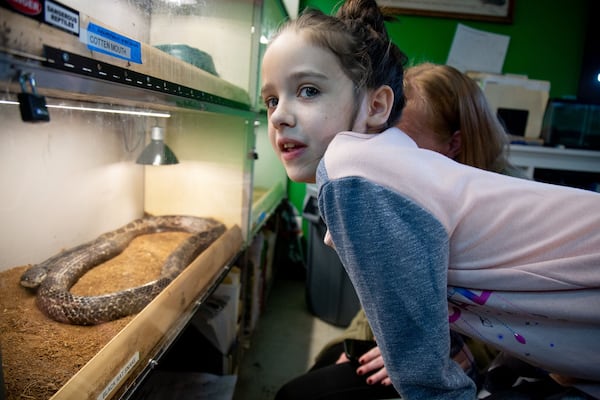 Lucy Davis checks out the snakes on display at the Amphibian Foundation during Atlanta Science Festival Saturday, March 9, 2019. STEVE SCHAEFER / SPECIAL TO THE AJC