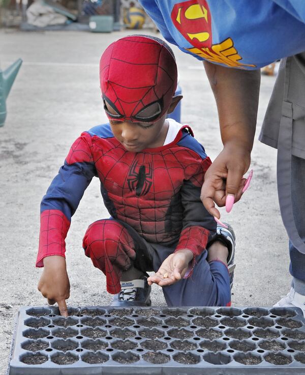 Teacher Danielle Brown helps Judah Manning, 4, plant seeds in the school garden in September 2019. Little Ones Learning Center in Forest Park is one of 18 state farm-to-school demonstration projects: students grow and harvest food, and the school sells it to their parents and to the surrounding neighborhood. BOB ANDRES / ROBERT.ANDRES@AJC.COM B