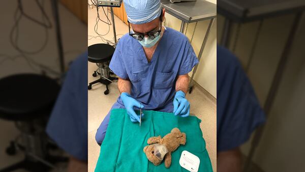 Dr. Daniel McNeeley performed surgery on a patient's bear.