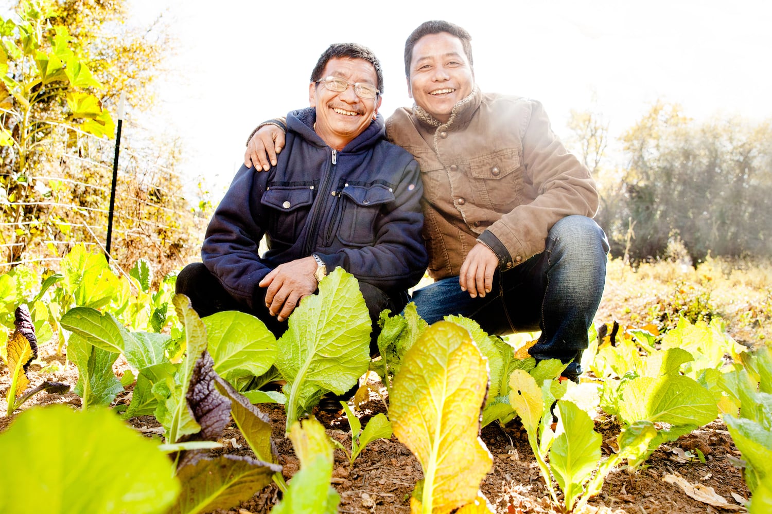 Decatur's Kitchen Garden