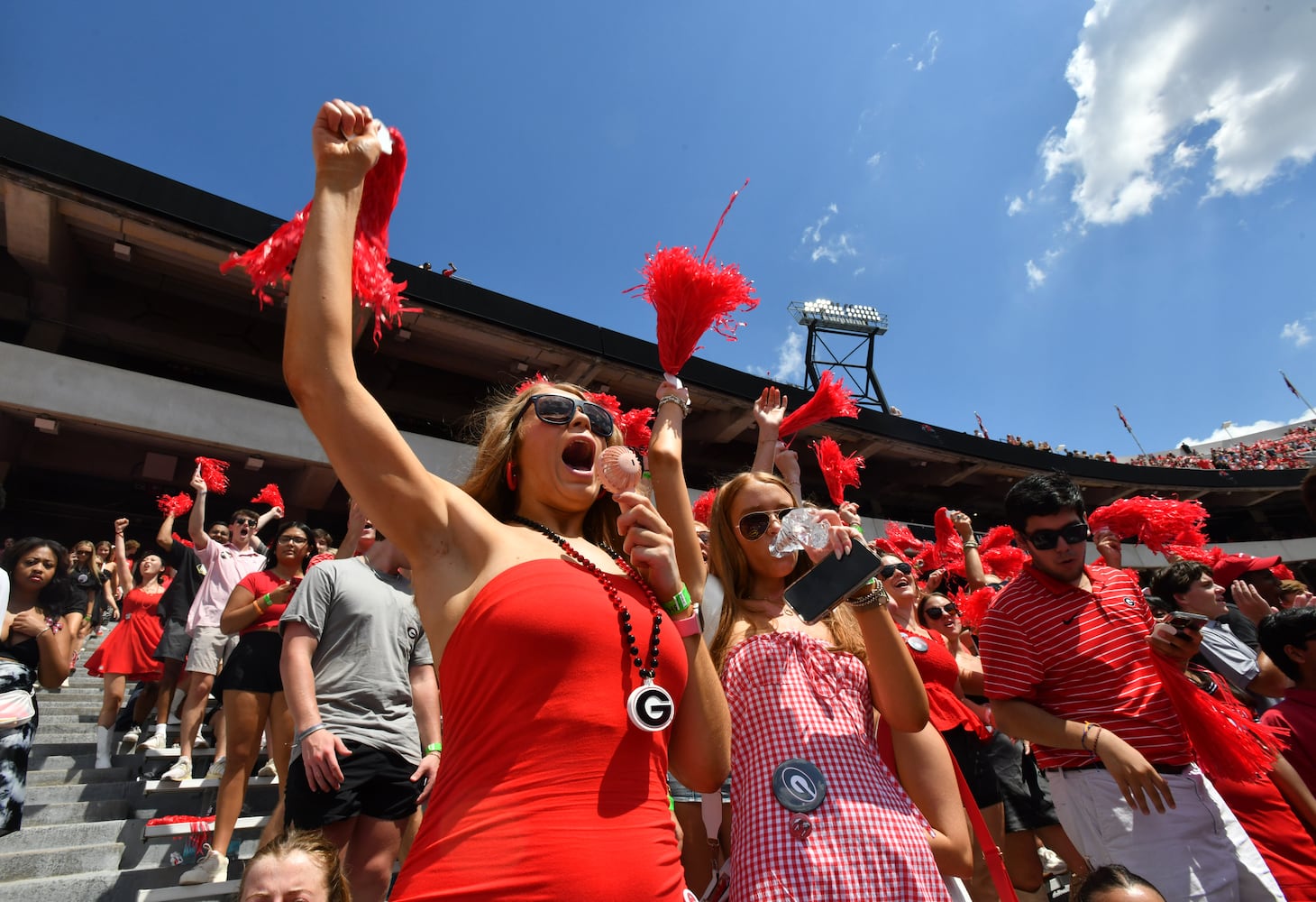 Georgia vs. Tennessee Tech