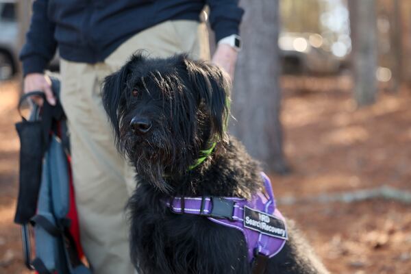 Cyrus, a giant schnauzer, prepares to ride on a boat with her handler Kathy Tompkins, of Evans, to get on a boat with members of the Putnam County sheriffs to search for Gary Jones on Lake Oconee, Friday, February, 14, 2024, in Eatonton, Ga. The Putnam County sheriff is investigating and searching after Spelman College instructor Joycelyn Nicole Wilson and an Atlanta private school coach Gary Jones went missing on Lake Oconee over the weekend. The body of Wilson was found Sunday and Jones has not been found. (Jason Getz / AJC)