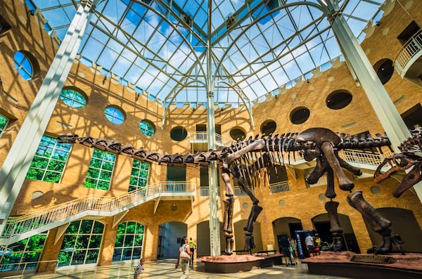 Visit a museum. Check out the dinosaurs at Fernbank Museum. 
(Courtesy of Discover DeKalb County Convention & Visitors Bureau)