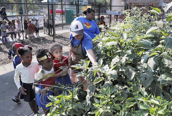 Germaine Appel (center), the garden educator at Little Ones Learning Center in Forest Park, during a session with kids in the school garden on Sept. 11, 2019.  