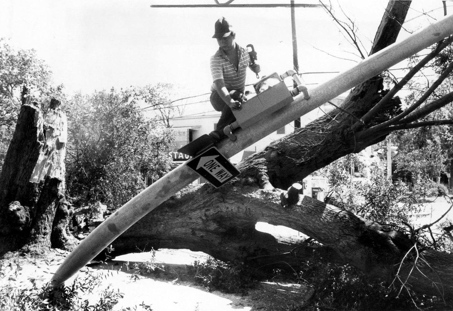 Flashback Photos: Hurricane David hits Savannah in 1979