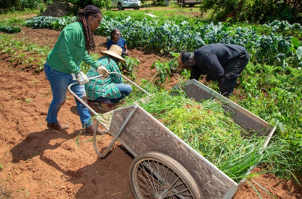 Southeastern African American Farmers Organic Network organizes work days as a way for Black farmers to develop ties with colleagues. Phil Skinner for The Atlanta Journal-Constitution 