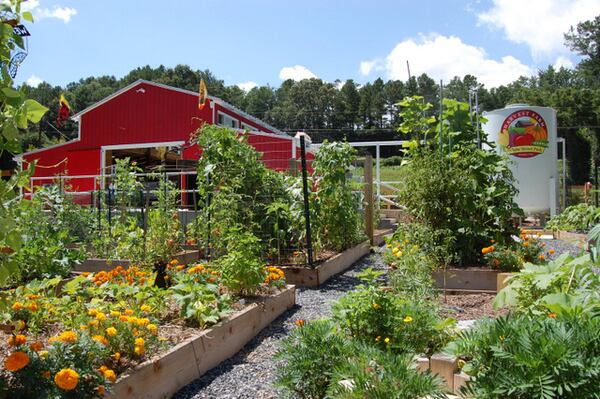 Suwanne’s Harvest Farm community garden. Courtesy of City of Suwanee