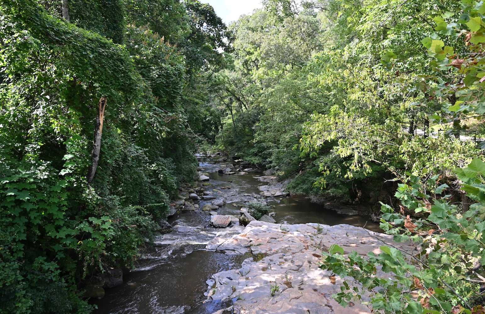 QUARRY YARDS and PROCTOR CREEK GREENWAY