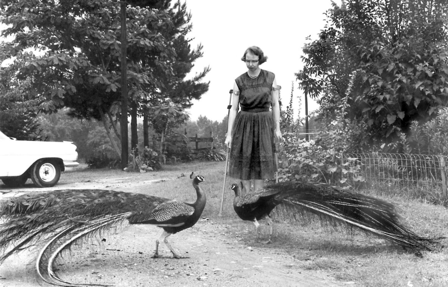 Flannery O'Connor