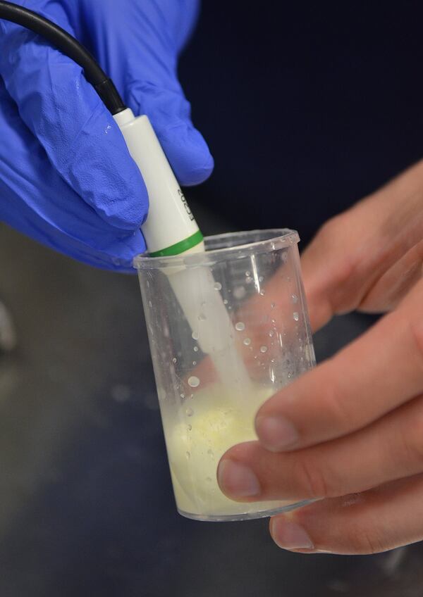 Head cheese-maker David Rospond checks the pH level frequently during all phases of the mozzarella cheese-making process at CalyRoad Creamery in Sandy Springs. (Chris Hunt/Special)