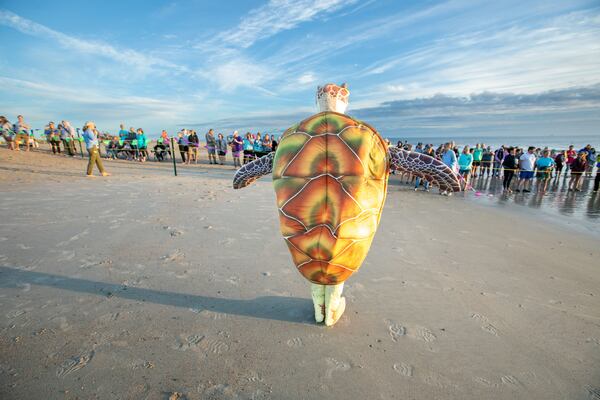 The Tybee Island Marine Science Center's sea turtle mascot kept the crowd entertained before Ike's release. (Casey Jones for the Savannah Morning News)