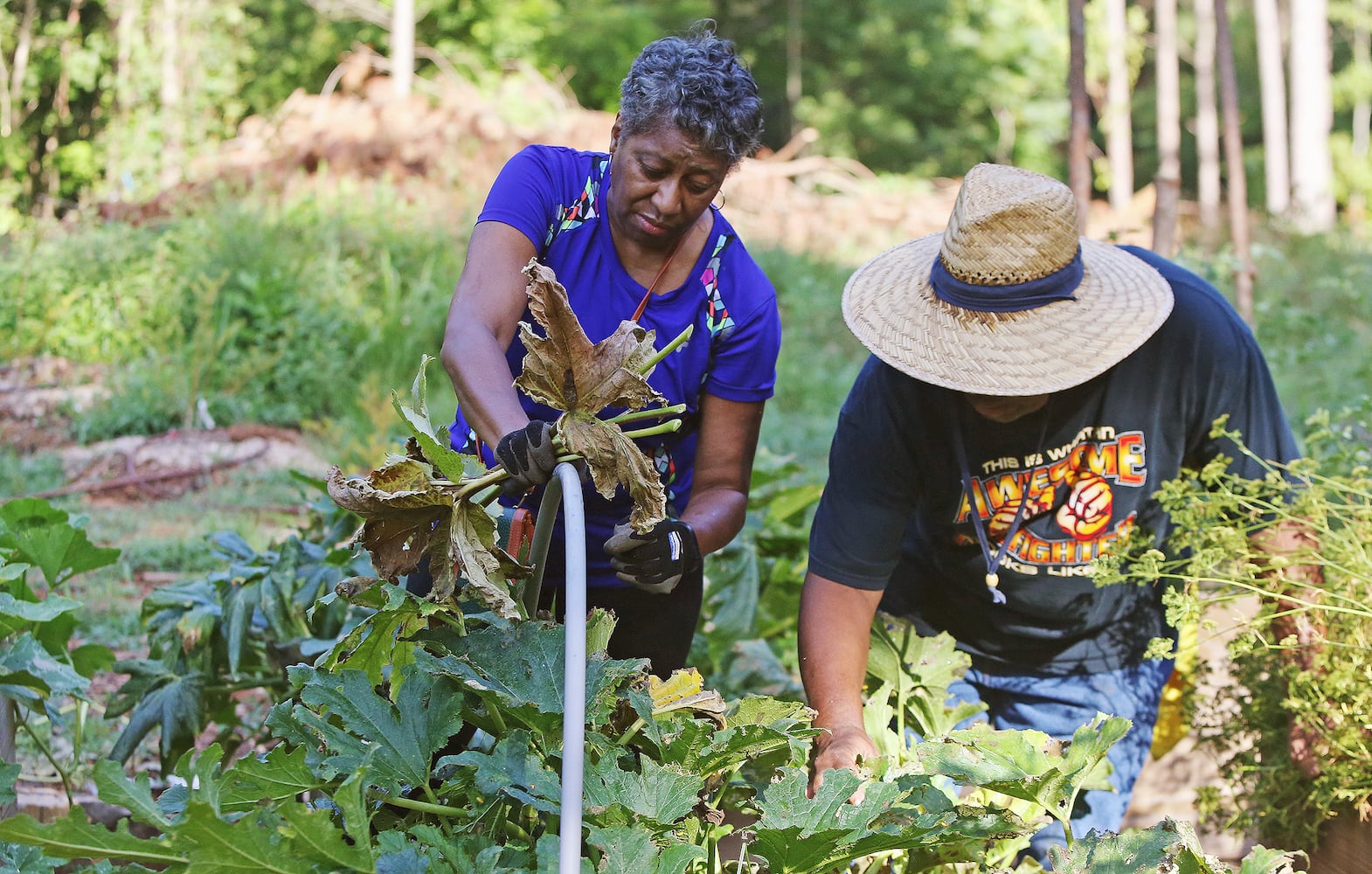 Photos: A look inside Georgia's first food forest