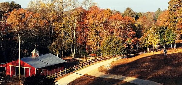 Horse Creek Stable Bed and Breakfast