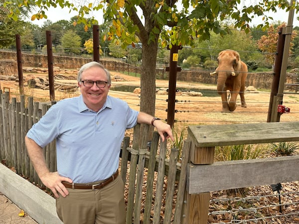 Raymond King, CEO of Zoo Atlanta since 2010, in front of the African Savanna exhibit with Msholo the elephant behind him. RODNEY HO/rho@ajc.com