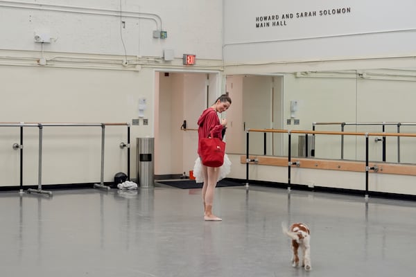 Unity Phelan and dog Pippin leave after a rehearsal for Phelan's role as Swan Queen in New York City Ballet's "Swan Lake," Tuesday, Feb. 25, 2025, in New York. (AP Photo/Julia Demaree Nikhinson)