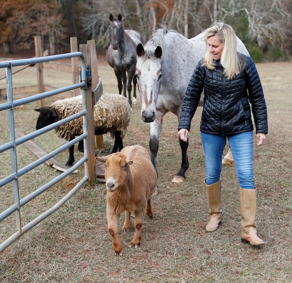 Marty Kemp with Butterscotch the goat and other four-legged members of the Kemp family. AJC photo: Bob Andres