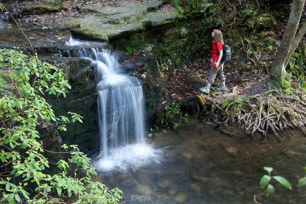 Located in F.D. Roosevelt State Park, Cascade Falls is one of the largest waterfalls outside of the North Georgia Mountains. 
Courtesy of the Georgia Department of Natural Resources.