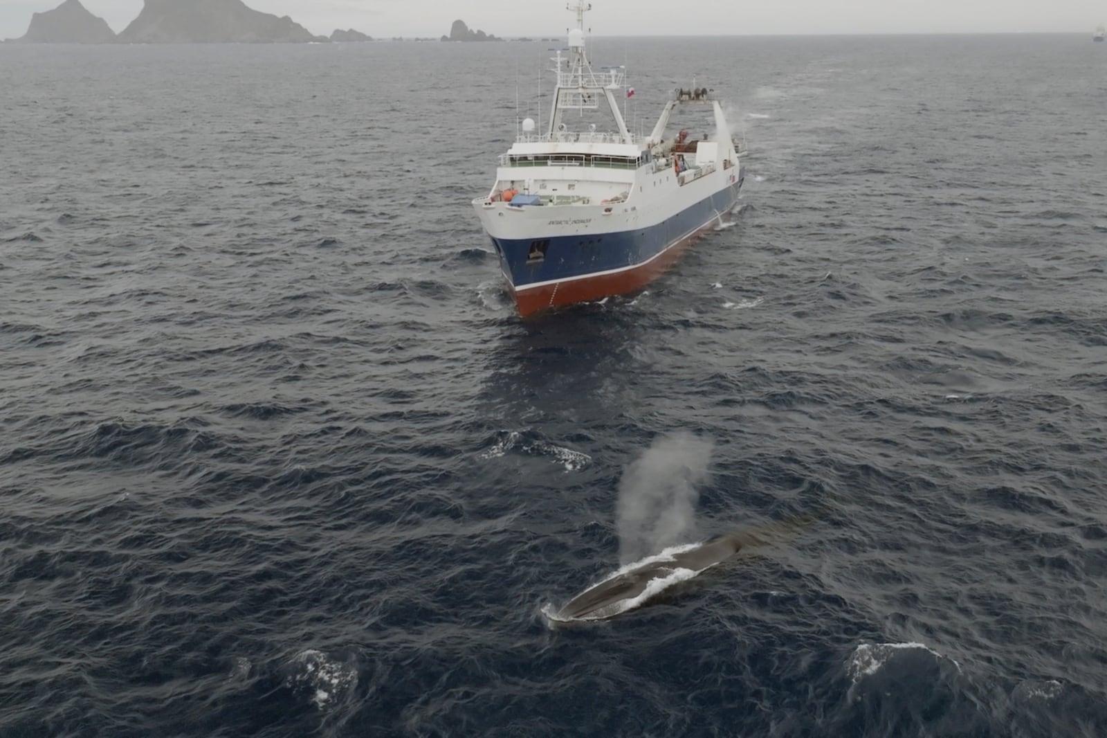 FILE - In this image from video provided by Sea Shepherd Global, the Norwegian Aker Biomarine's Antarctic Endeavour krill fishing ship sails near a whale in the Southern Ocean on March 6, 2023. (Mika Van Der Gun/Sea Shepherd Global via AP, File)