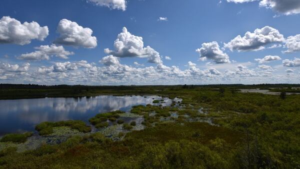 Fight over mining proposal near Okefenokee draws national spotlight