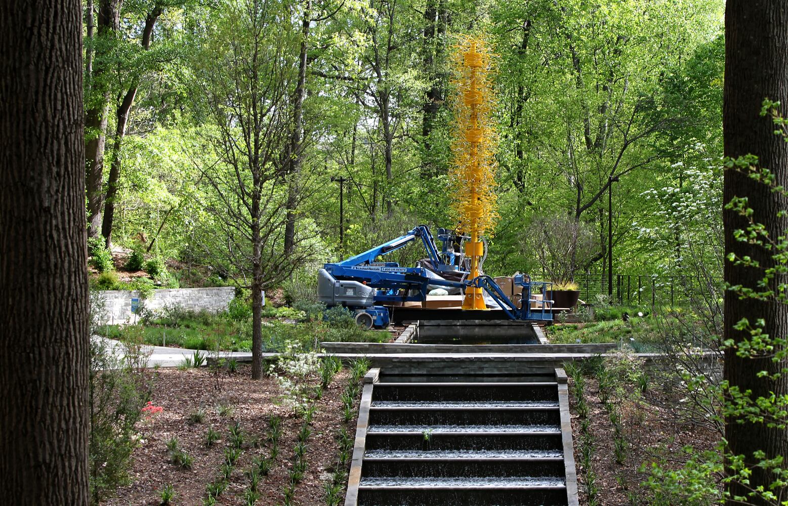 Chihuly Garden Installations | Atlanta Botanical Gardens