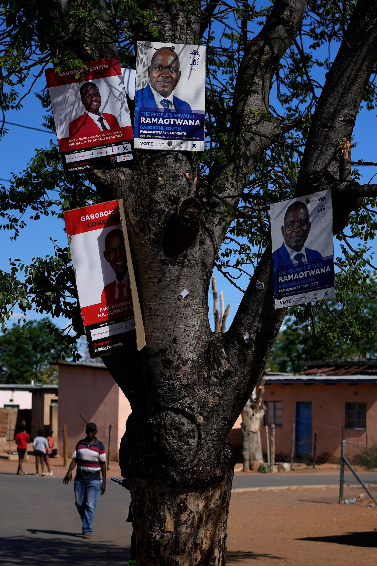 Posters showing election party candidates, a day before elections in Gaborone, Botswana, Tuesday, Oct. 29, 2024. (AP Photo/Themba Hadebe)