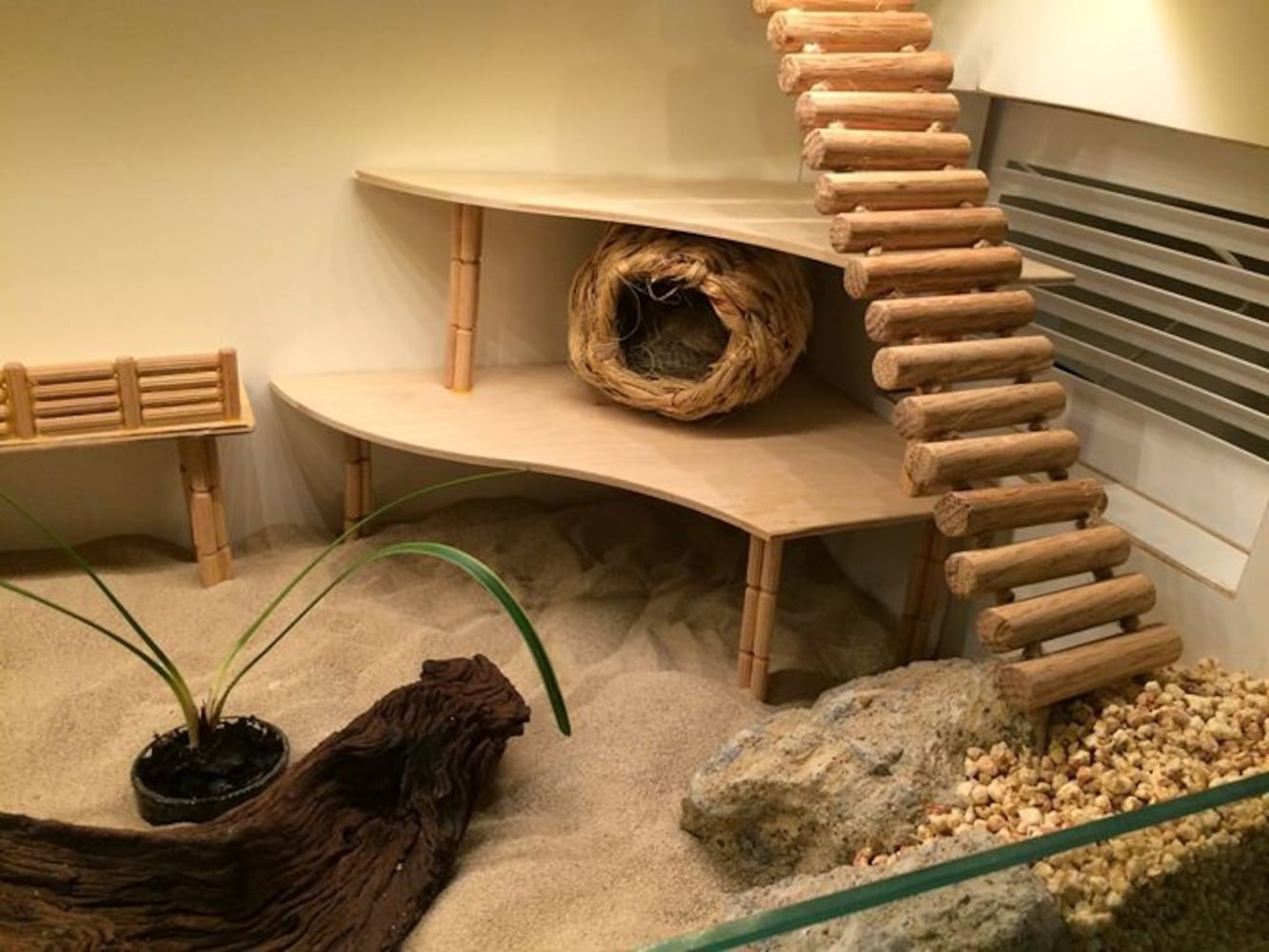 hamster mansion