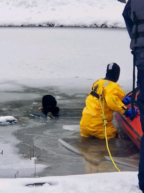 Franklin Firefighter/EMT Kyle Keeler is holding Maggie, a puppy that had to be rescued from an icy pond on Beal Road after falling through the ice. CONTRIBUTED.