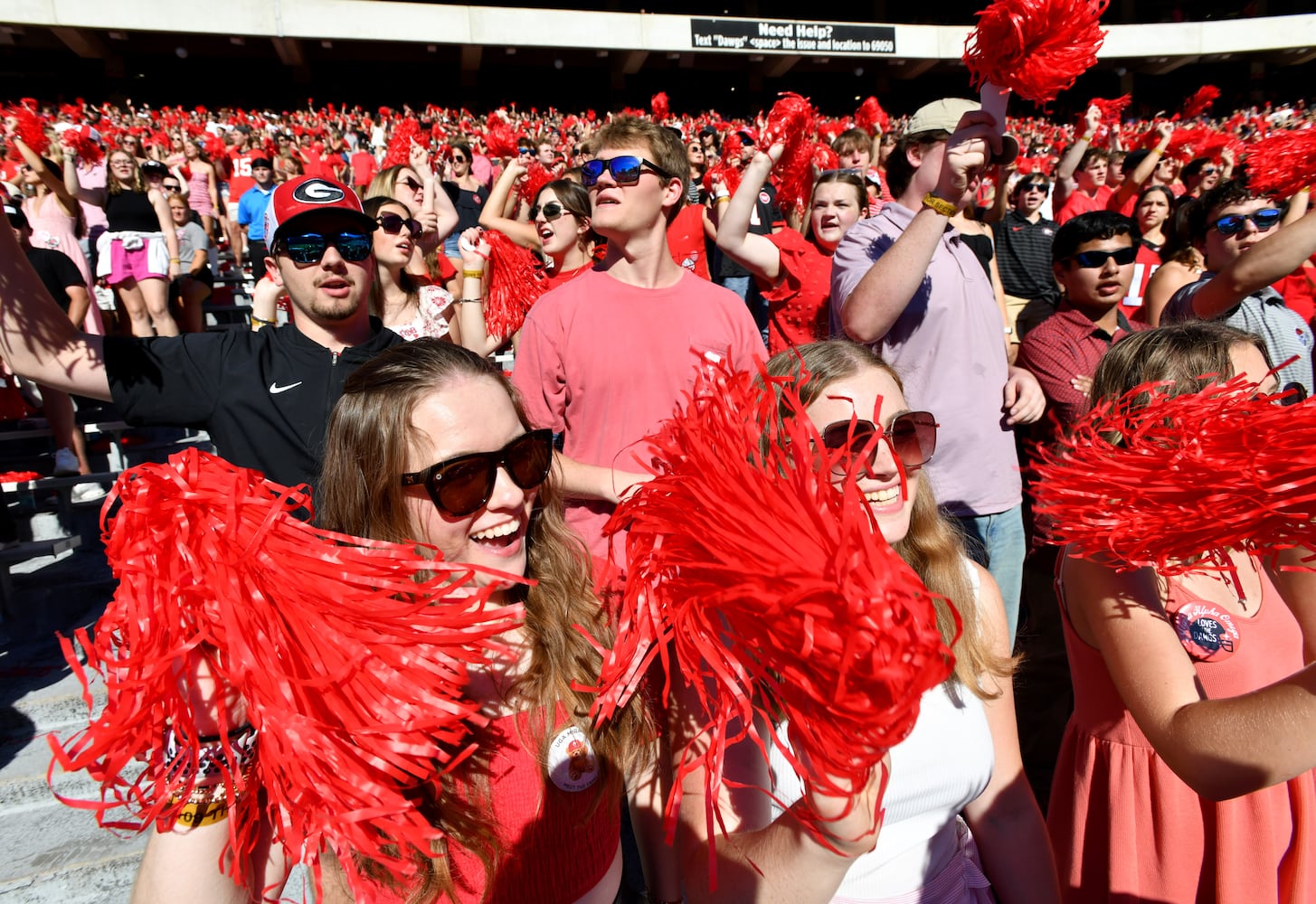 Georgia vs Mississippi State photo