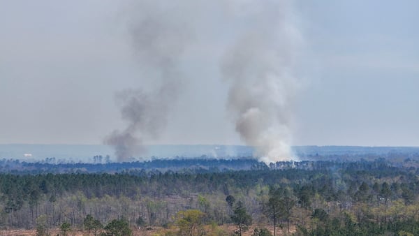 In multiple counties south of I-16, farmers are trying to conduct controlled burns to clear away trees destroyed by Hurricane Helene, which caused significant damage in the area six months ago. (Miguel Martinez/AJC)