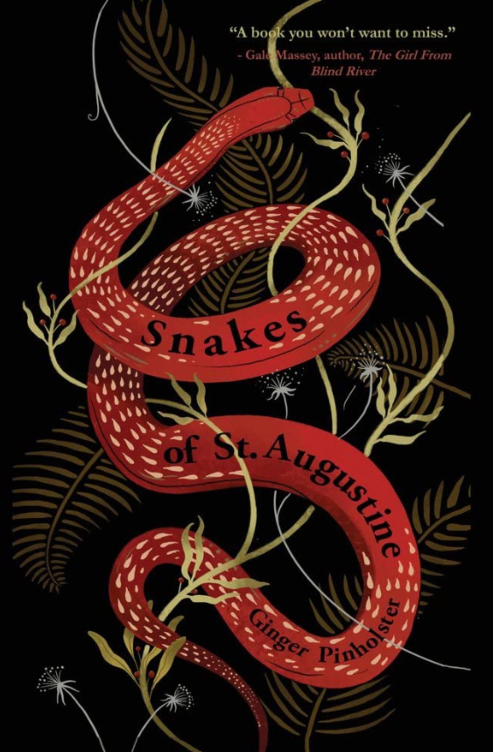 "Snakes of St. Augustine" by Ginger Pinholster
Courtesy of Regal House Publishing