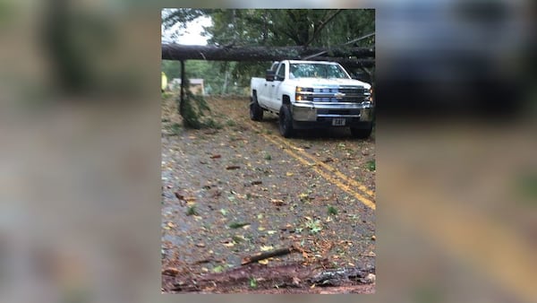 A pine tree landed on Ricky Field's pickup truck during his morning commute from Marietta to Buckhead.