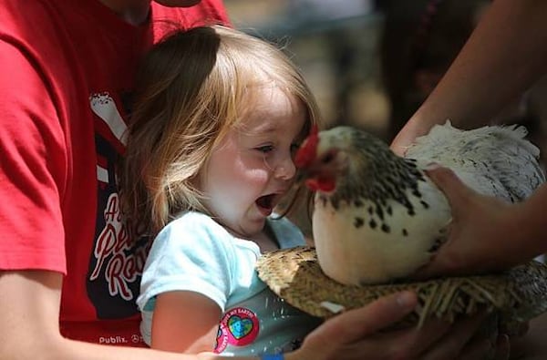 Wild Weekend at Autrey Mill Nature Preserve &amp; Heritage Center offers activities for the entire family.