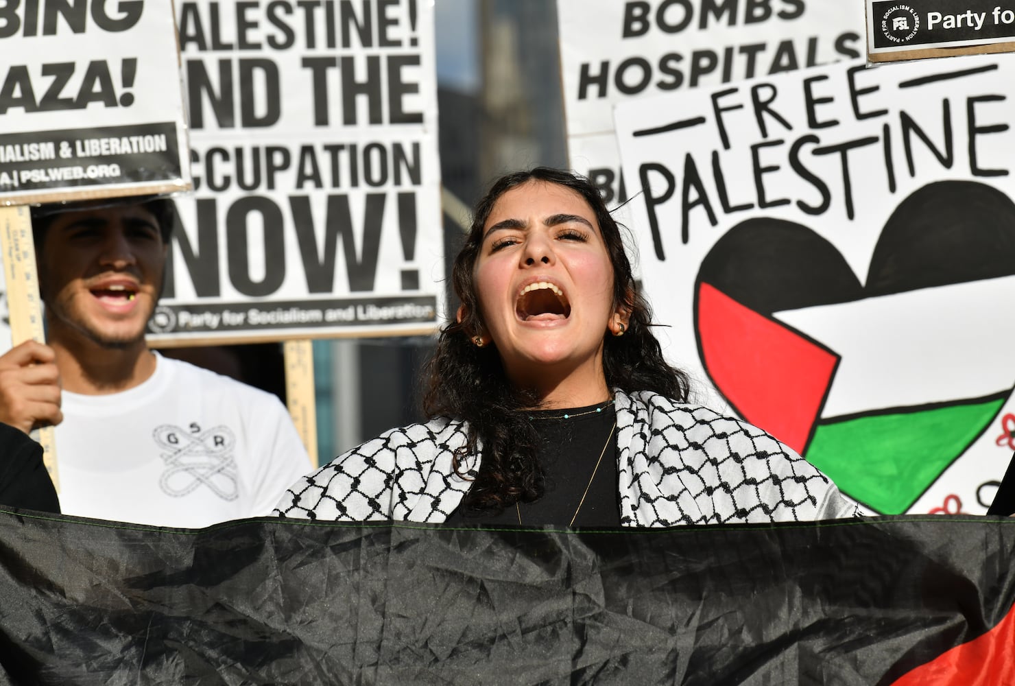 Pro-Palestinian rally in downtown