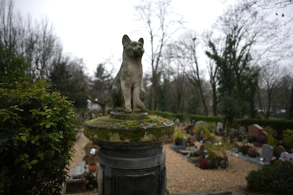 A sculpture of a cat is seen at the dog cemetery in AsniËres-sur-Seine, outside Paris, Tuesday, Feb. 25, 2025. (AP Photo/Christophe Ena)