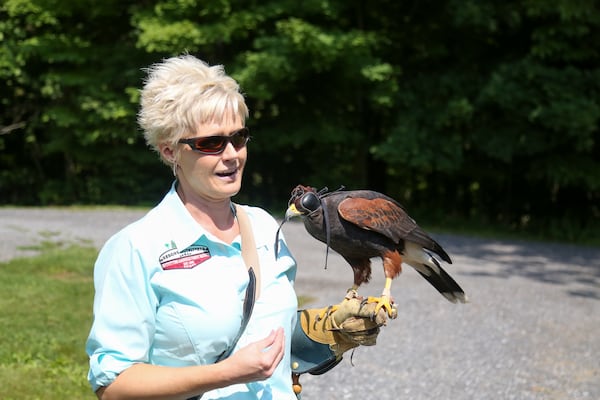 Linda Spence demonstrates falconry at the Omni Homestead Resort.
Courtesy of Omni Homestead Resort