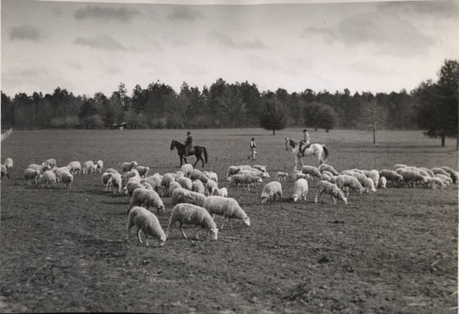 Flashback Photos: Scenes from Central and South Georgia