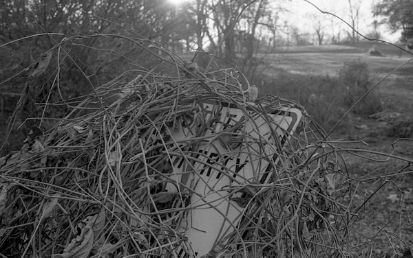 Kudzu versus state property. Courtesy of Jeremy Fletcher