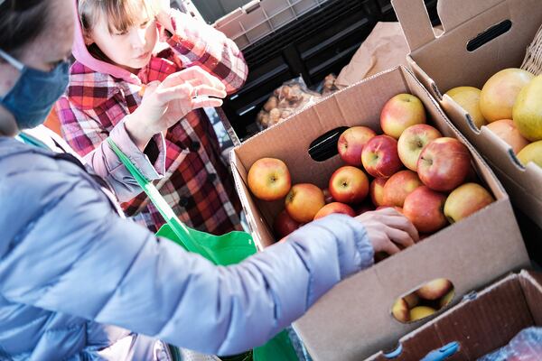 Love Is Love Cooperative Farm CSA is available as full or half shares with the next session starting April 27. (Courtesy of Addison Hill Photo)