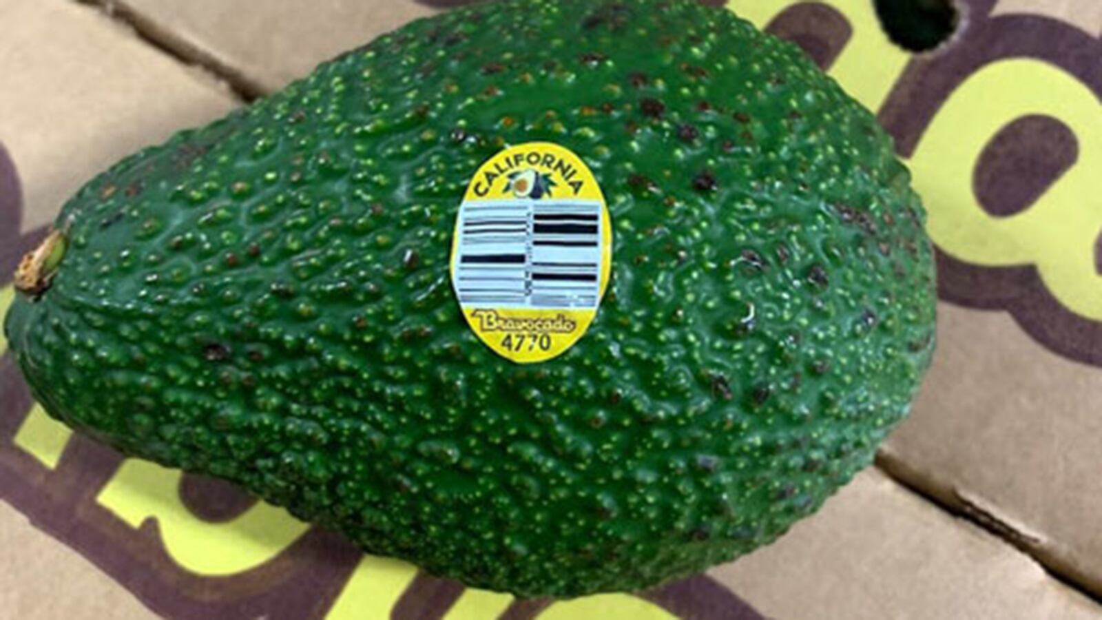 California-grown whole avocados sold in bulk at retail stores are being recalled due to potential listeria contamination.