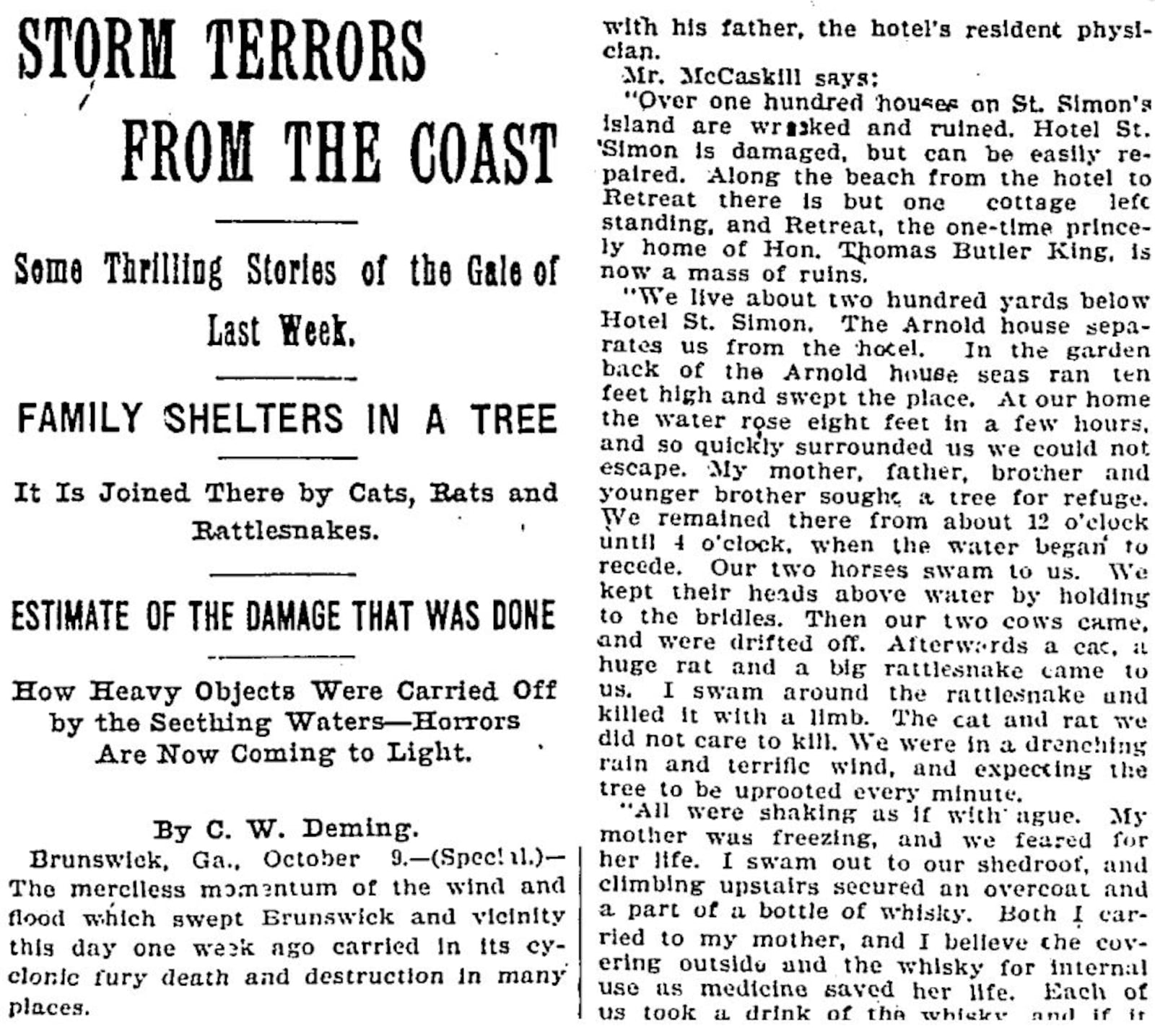 "Cats, rats and rattlesnakes" took refuge in a tree with one family that survived the great "Georgia" hurricane of 1898.