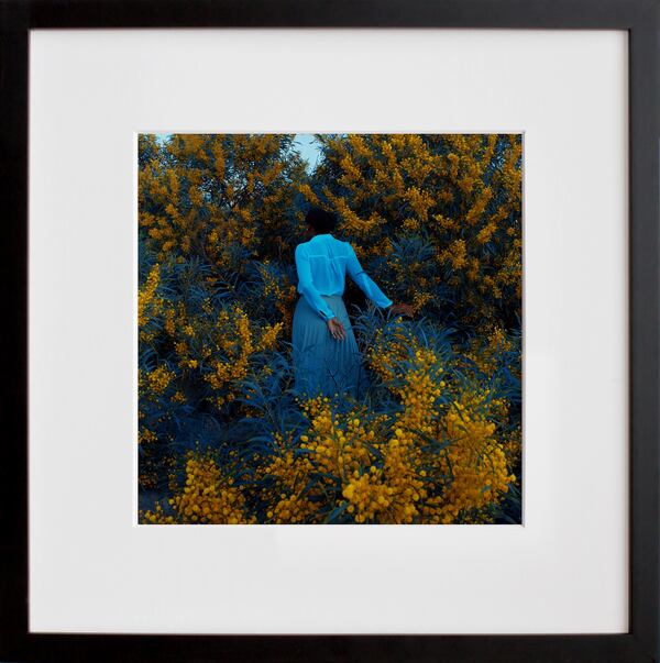 A self-portrait photo of Fares Micue exploring a full garden features surprising bursts of soft hues.
(Courtesy of Fares Micue at 20x200.com)