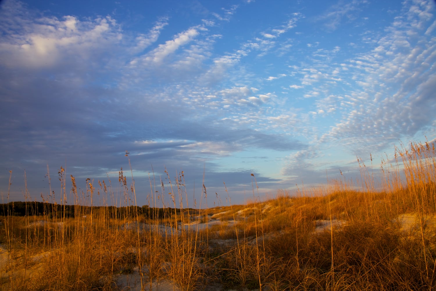 Little St. Simons Island by Britt Brown