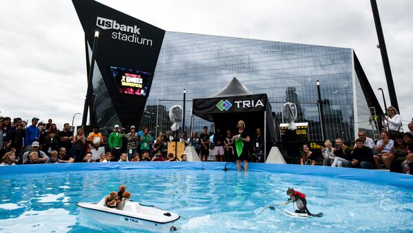 Twiggy, the water-skiing squirrel, performs outside U.S. Bank Stadium as part of X Fest in Minneapolis, Thursday, July 19, 2018.