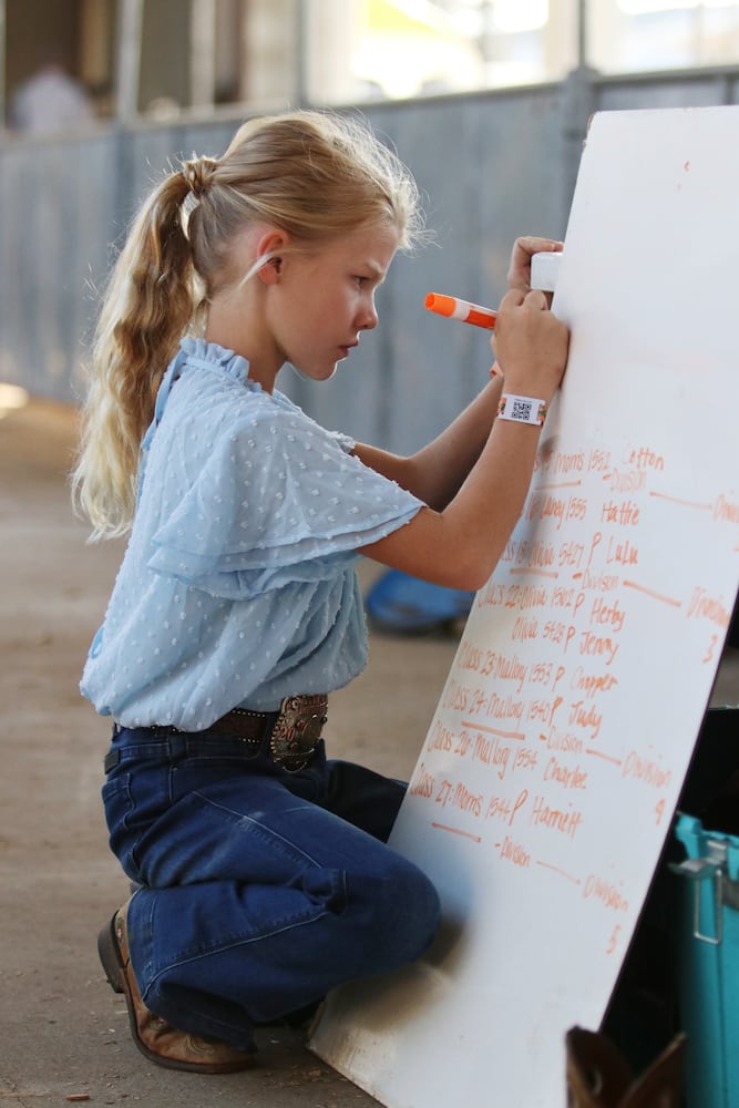 UGA Georgia Fair