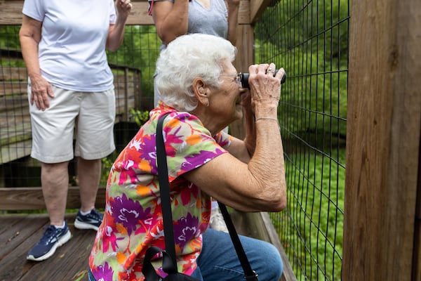 Walking group member Donna Whitfield looks at birds at Mason Mill park in Decatur. (Arvin Temkar / AJC)